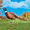 Collections Etc Realistic Pheasant Garden Stake Outdoor Decoration 1 Collections Etc Realistic Pheasant Garden Stake Outdoor Decoration -Home Decor Store GUEST 041f7c0b 2c00 461c 9cf3 2ebd6ca66897
