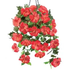Collections Etc Hanging Artificial Tropical Hibiscus Bush Basket Set 12 Collections Etc Hanging Artificial Tropical Hibiscus Bush Basket Set -Home Decor Store GUEST 066bf820 49c0 40b4 86a5 f37c5d0cba3e