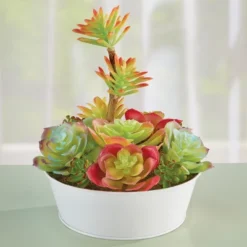 Collections Etc Faux Succulent Arrangement With White Pot Centerpiece 7 X 7 X 8