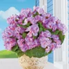 Collections Etc Set Of 3 Begonia Bushes -Home Decor Store GUEST 17a0306a 8270 4164 95cb 39f9f632445e