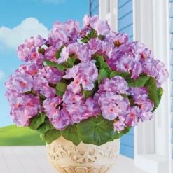 Collections Etc Set Of 3 Begonia Bushes