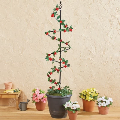 Collections Etc 4-Foot Tall Iron Circular Spiral Trellis Stake 12.25 X 12.25 X 48 3 Collections Etc 4-Foot Tall Iron Circular Spiral Trellis Stake 12.25 X 12.25 X 48