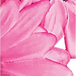 Collections Etc Black Eyed Susan Bushes Set 3 9 Collections Etc Black Eyed Susan Bushes Set 3 -Home Decor Store GUEST 2952fa93 8b06 42f0 8941 544967c3d3c3