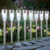Collections Etc Solar Light Pathway Stakes - Set Of 8 Multi Color Lights -Home Decor Store GUEST 3276a53e f4fb 4941 86dd 5e340cd4000d