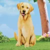 Collections Etc Realistic Metal Yellow Lab Dog Garden Stake -Home Decor Store GUEST 41adefb4 9b9d 4400 9fdc 985994f4170d