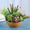 Collections Etc Faux Succulent Plants Arrangement In Pot -Home Decor Store GUEST 70df04a8 abae 4f82 b964 4ca9ad244c97