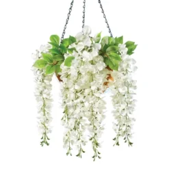 Collections Etc Cascading Wisteria Bushes - Set Of 2 9 Collections Etc Cascading Wisteria Bushes - Set Of 2 -Home Decor Store GUEST 811ef3b3 fdbd 4de5 ad77 77a75201929c