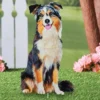 Collections Etc Realistic Australian Shepherd Outdoor Garden Stake 2 Collections Etc Realistic Australian Shepherd Outdoor Garden Stake -Home Decor Store GUEST 8ace5427 ac9e 4908 89f5 f69abcd77de3