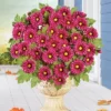 Collections Etc Small Chrysanthemum Bush Set 3 2 Collections Etc Small Chrysanthemum Bush Set 3 -Home Decor Store GUEST 8e0d8078 9dc7 4961 9564 9991b23a6976