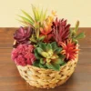 Collections Etc Colorful Artificial Succulent Arrangement 7.5 X 7.5 X 8.5 -Home Decor Store GUEST 91eb1023 a8b7 406b 994e d187a671eb58