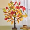 Collections Etc LED Lighted Artificial Tabletop Autumn Maple Tree 4 X 4 X 22 -Home Decor Store GUEST 96ae18f0 c84a 41af 8b76 6023d0b83dde