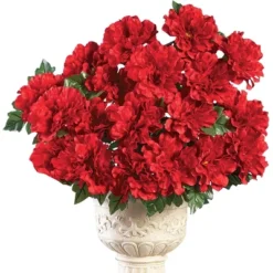 Collections Etc Artificial Multicolor Zinnia Bushes Stakes - Set Of 3 16 Collections Etc Artificial Multicolor Zinnia Bushes Stakes - Set Of 3 -Home Decor Store GUEST 9e25fa94 6ca9 4821 ac4e 0850b38b5581