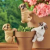 Collections Etc Hand-Painted Puppy Flower Pot Hugger Figurines - Set Of 3 2 Collections Etc Hand-Painted Puppy Flower Pot Hugger Figurines - Set Of 3 -Home Decor Store GUEST a0fa45a4 9e71 4a49 9346 6114e0d5b5b0
