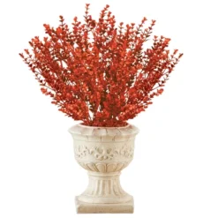 Collections Etc Barberry Bushes Set Of 3 10 Collections Etc Barberry Bushes Set Of 3 -Home Decor Store GUEST bece310c f5a6 488d be6d 139ac8dd3ec4