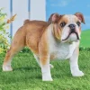 Collections Etc Hand-Painted Friendly Bulldog Garden Statue Brown 2 Collections Etc Hand-Painted Friendly Bulldog Garden Statue Brown -Home Decor Store GUEST cd627f1c c23e 4a1b a05b 1fd97b8c6b02