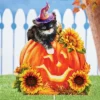 Collections Etc Adorable Halloween Kitten Outdoor Garden Stake 1 Collections Etc Adorable Halloween Kitten Outdoor Garden Stake -Home Decor Store GUEST d1748392 ee5d 432f 9da8 216727a29731