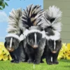 Collections Etc Realistic Skunk Trio Outdoor Garden Stake 2 Collections Etc Realistic Skunk Trio Outdoor Garden Stake -Home Decor Store GUEST eb7eb4c4 5dcd 4b23 a3b2 fd31a27e6812