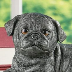Collections Etc Hand-Painted Realistic Pug Puppy Outdoor Statue 13 Collections Etc Hand-Painted Realistic Pug Puppy Outdoor Statue -Home Decor Store GUEST efc4280d f410 4771 97de 6fae68c3aa46