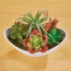 Collections Etc Faux Potted Artificial Succulent Arrangement 8 X 5 X 5 -Home Decor Store GUEST fe871eab 8a79 4fdb ab2b ce6dd45c04c0